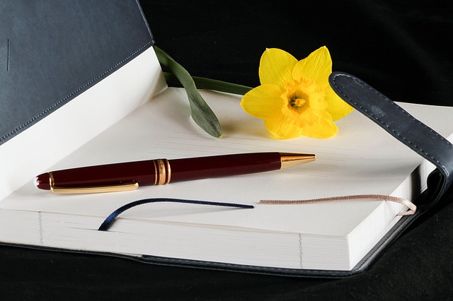 jurnal